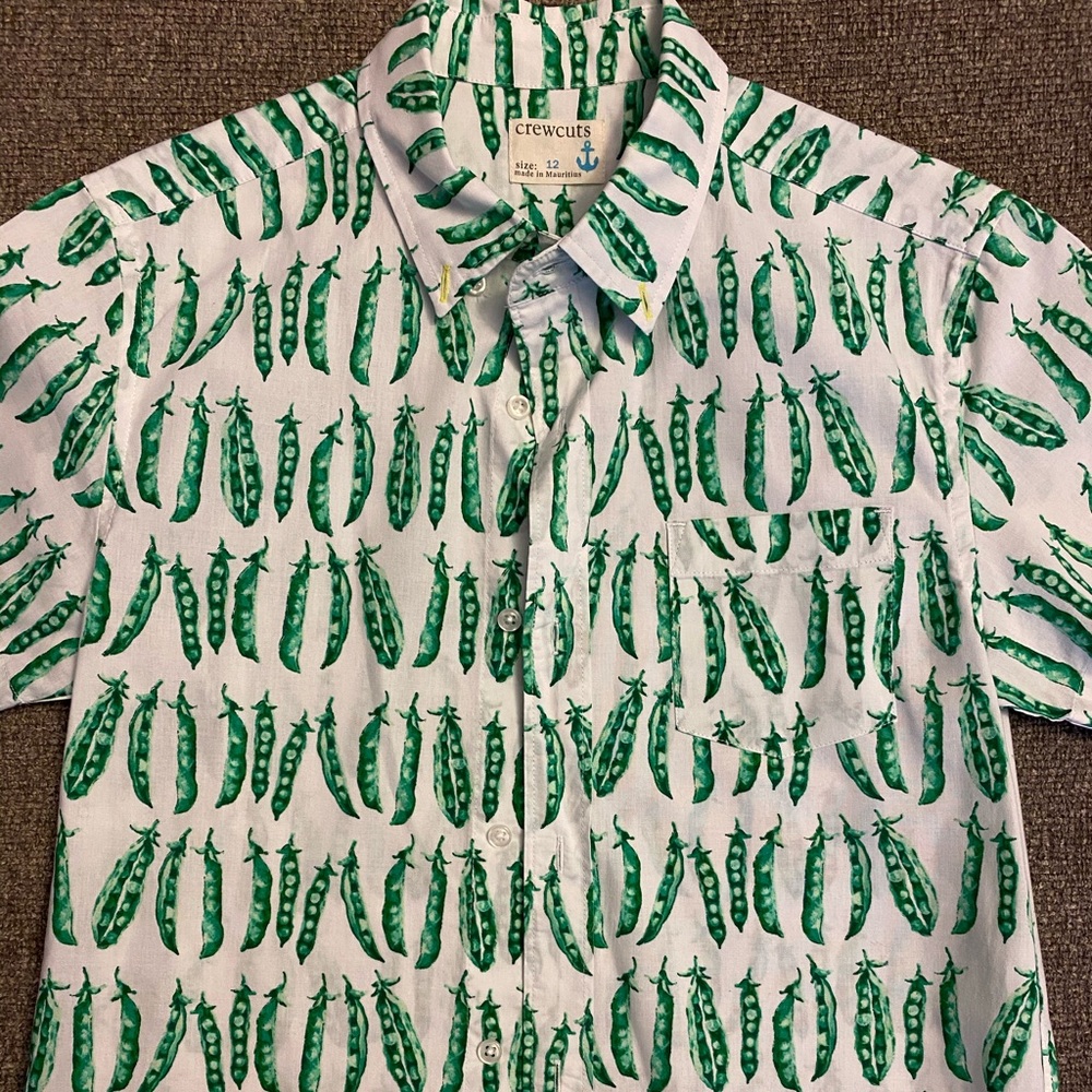 JCrew boys button down shirt